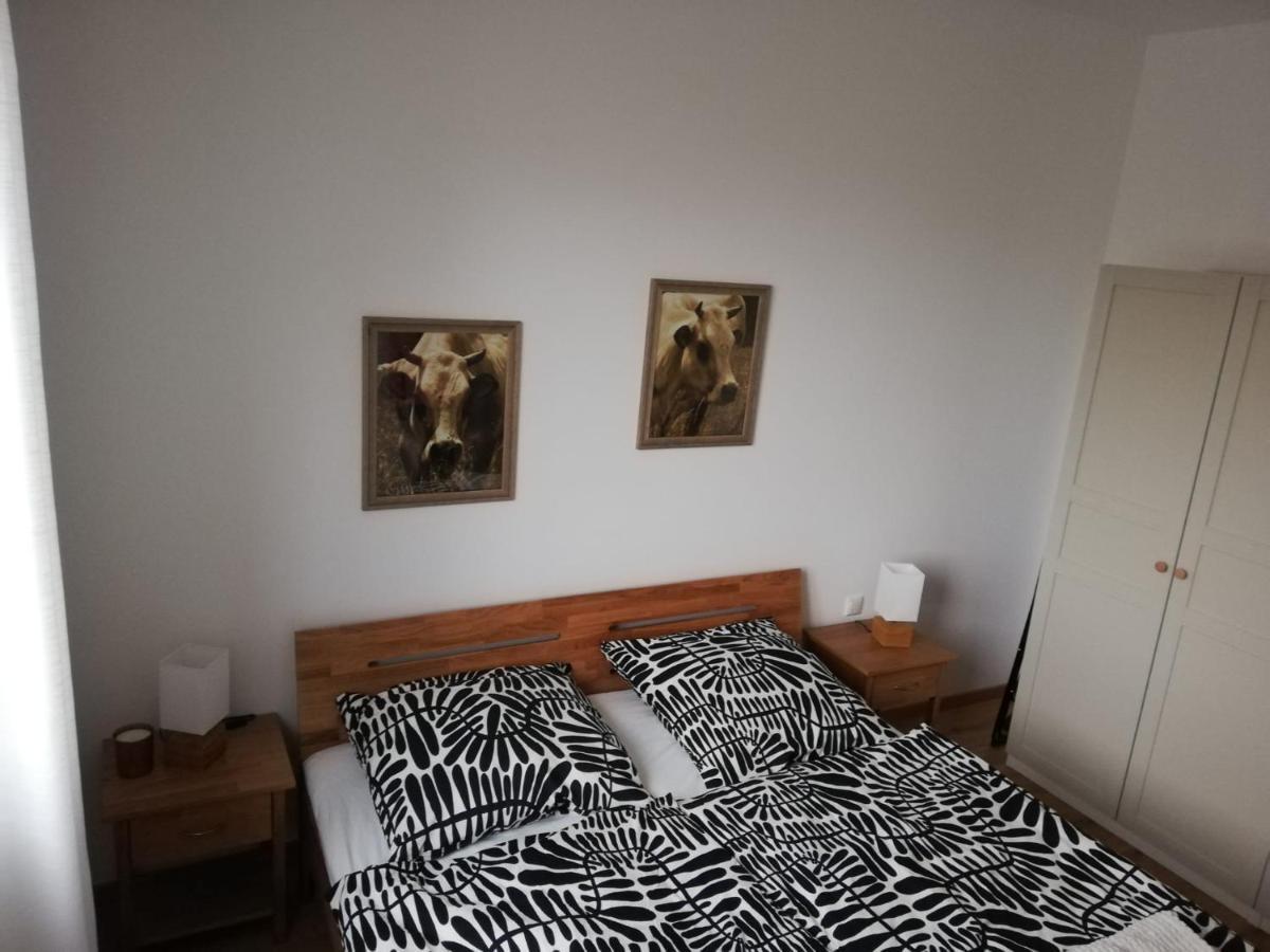 Segnitz Ferienwohnungen Frank מראה חיצוני תמונה